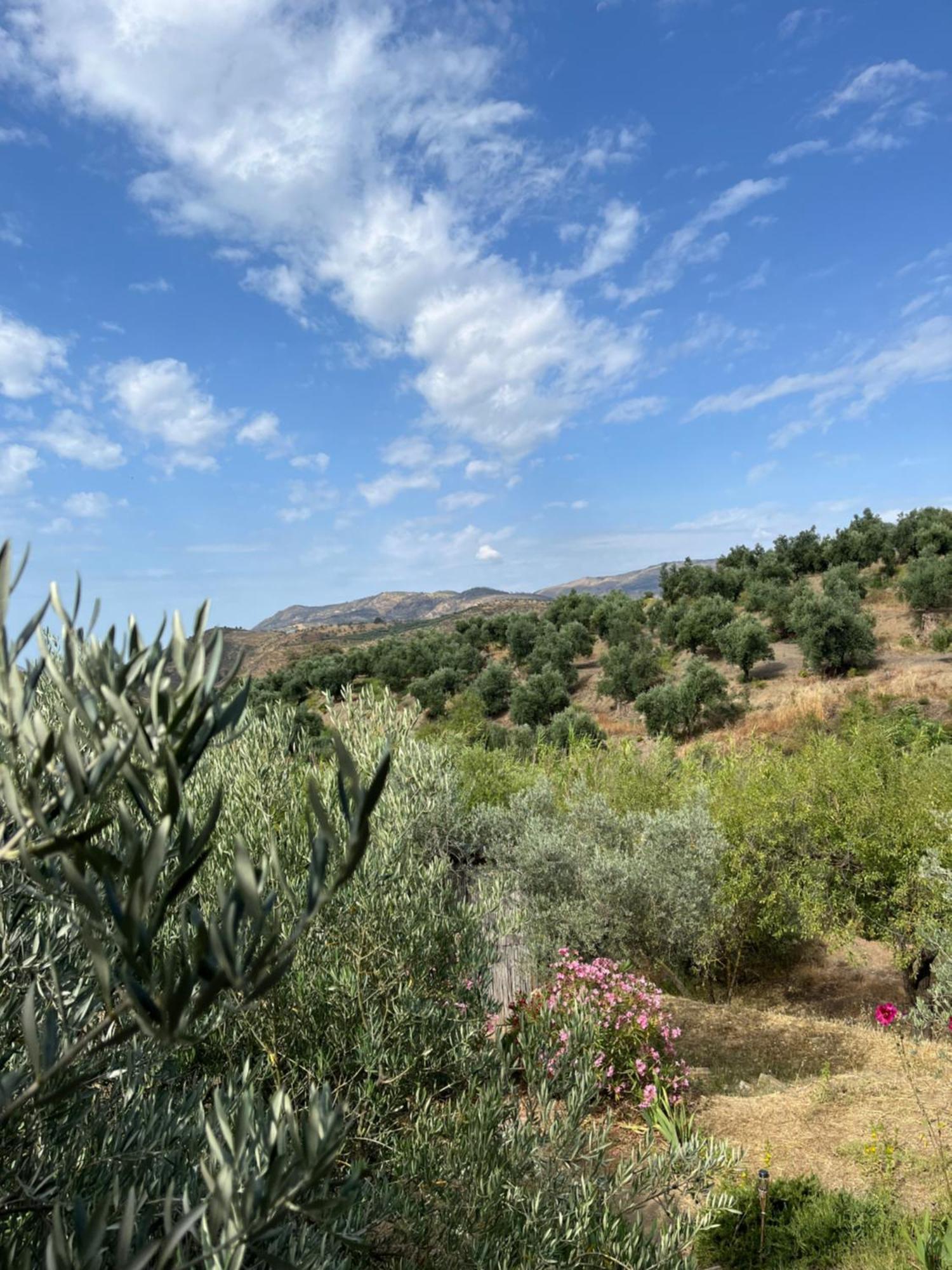Lanjarón Cortijo Alhijra Big Yourte מראה חיצוני תמונה